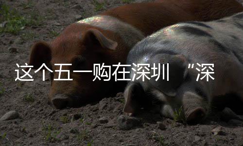 享生动开活五一这个之约启深圳深圳购在 畅促消费活